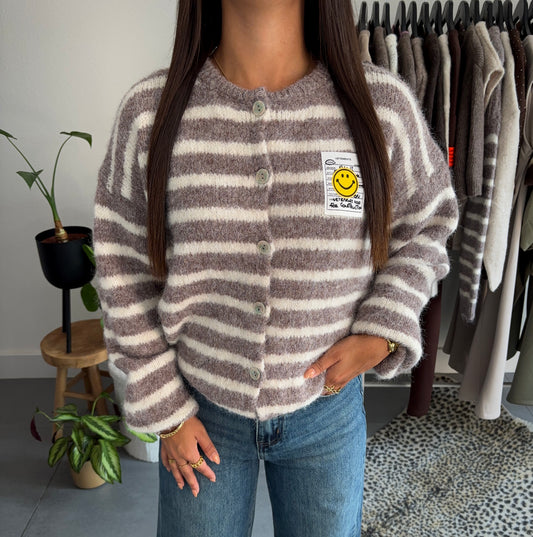 Happy stripes vest (taupe)