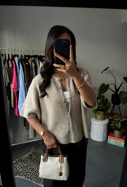 Cozy core Vest (Beige)